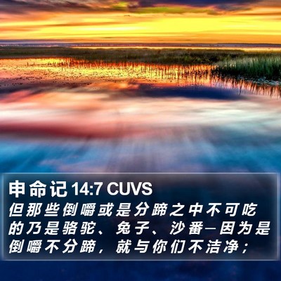 申 命 记 14:7 CUVS Bible Verse Image