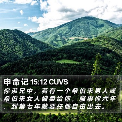 申 命 记 15:12 CUVS Bible Verse Image