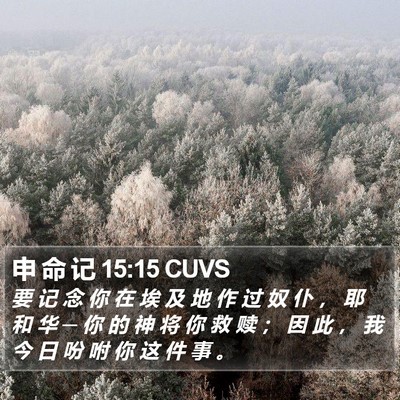 申 命 记 15:15 CUVS Bible Verse Image