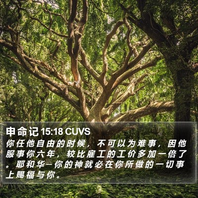 申 命 记 15:18 CUVS Bible Verse Image