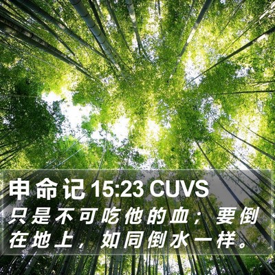 申 命 记 15:23 CUVS Bible Verse Image