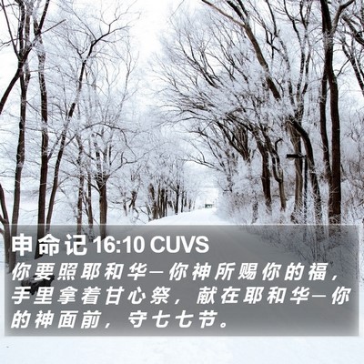 申 命 记 16:10 CUVS Bible Verse Image