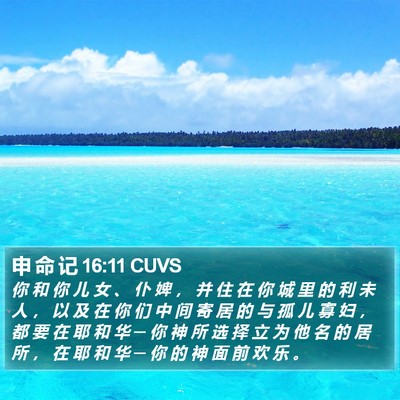 申 命 记 16:11 CUVS Bible Verse Image