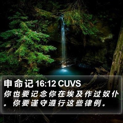 申 命 记 16:12 CUVS Bible Verse Image