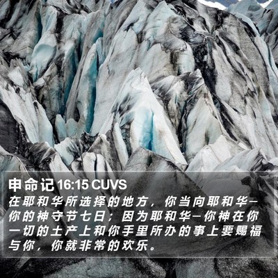 申 命 记 16:15 CUVS Bible Verse Image