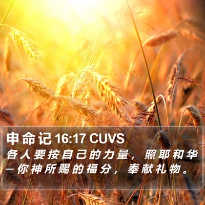 申 命 记 16:17 CUVS Bible Verse Image