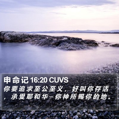 申 命 记 16:20 CUVS Bible Verse Image
