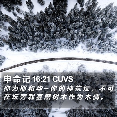 申 命 记 16:21 CUVS Bible Verse Image