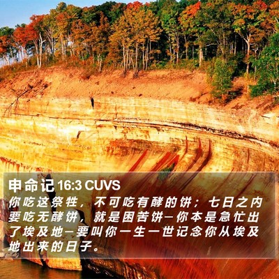 申 命 记 16:3 CUVS Bible Verse Image