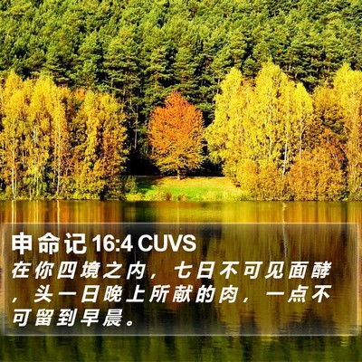 申 命 记 16:4 CUVS Bible Verse Image