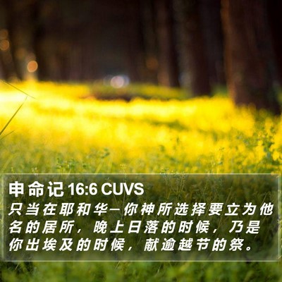 申 命 记 16:6 CUVS Bible Verse Image