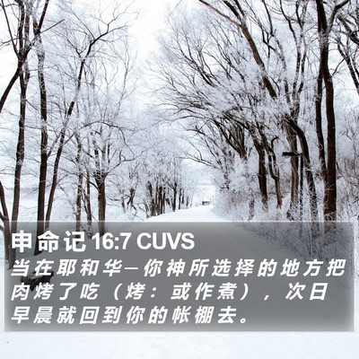 申 命 记 16:7 CUVS Bible Verse Image