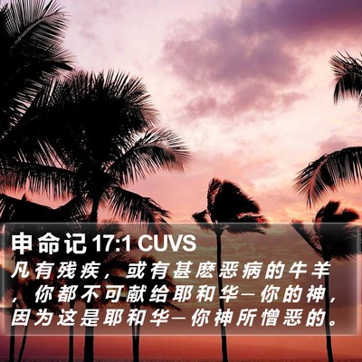 申 命 记 17:1 CUVS Bible Verse Image