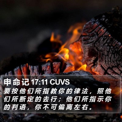 申 命 记 17:11 CUVS Bible Verse Image