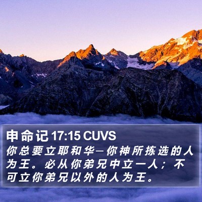 申 命 记 17:15 CUVS Bible Verse Image