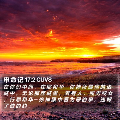申 命 记 17:2 CUVS Bible Verse Image