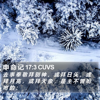 申 命 记 17:3 CUVS Bible Verse Image