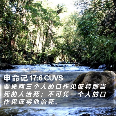 申 命 记 17:6 CUVS Bible Verse Image