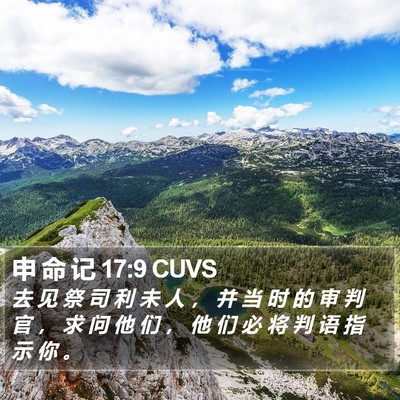 申 命 记 17:9 CUVS Bible Verse Image
