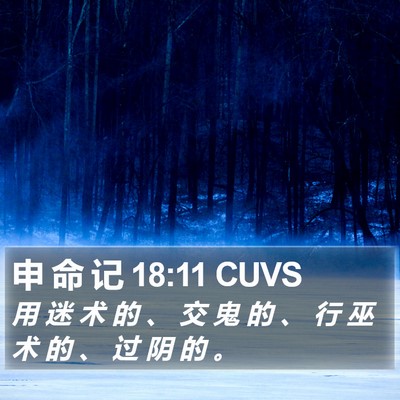 申 命 记 18:11 CUVS Bible Verse Image