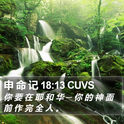 申 命 记 18:13 CUVS Bible Verse Image