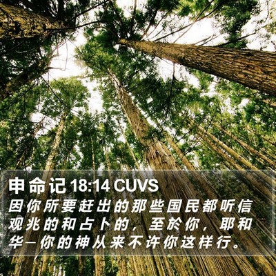 申 命 记 18:14 CUVS Bible Verse Image