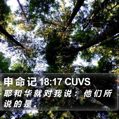 申 命 记 18:17 CUVS Bible Verse Image