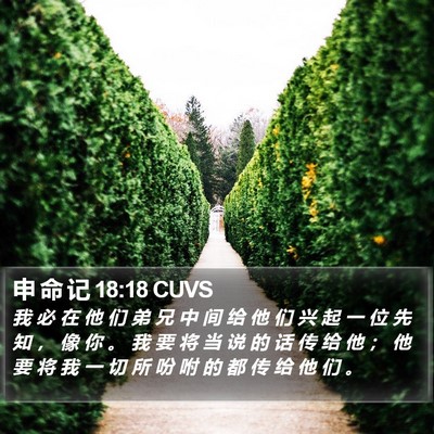 申 命 记 18:18 CUVS Bible Verse Image