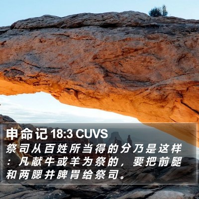 申 命 记 18:3 CUVS Bible Verse Image