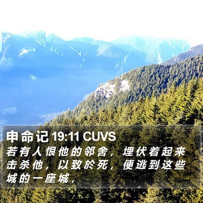 申 命 记 19:11 CUVS Bible Verse Image