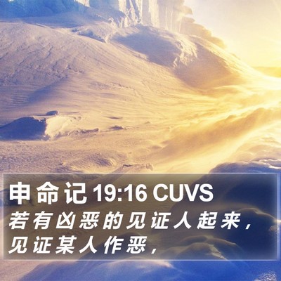 申 命 记 19:16 CUVS Bible Verse Image
