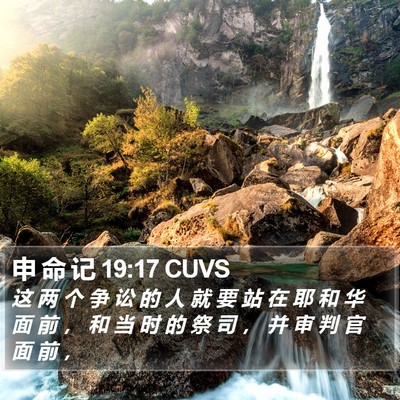 申 命 记 19:17 CUVS Bible Verse Image