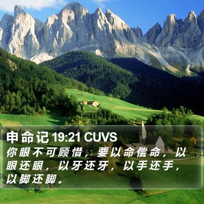 申 命 记 19:21 CUVS Bible Verse Image