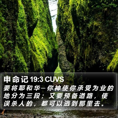 申 命 记 19:3 CUVS Bible Verse Image