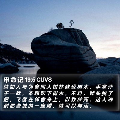 申 命 记 19:5 CUVS Bible Verse Image