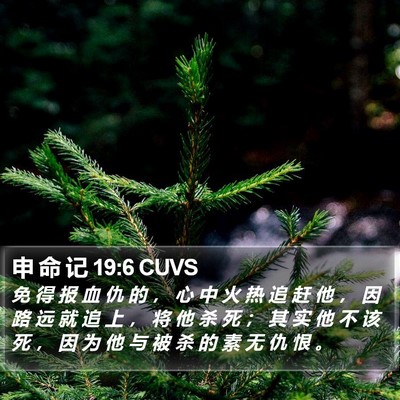 申 命 记 19:6 CUVS Bible Verse Image
