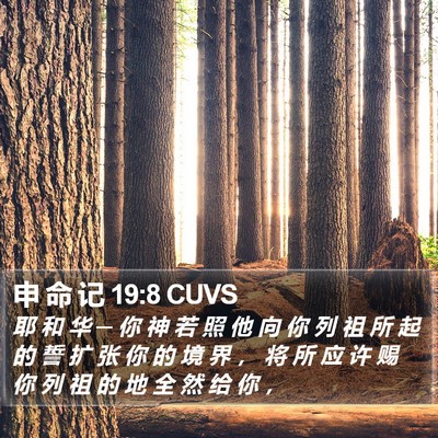申 命 记 19:8 CUVS Bible Verse Image