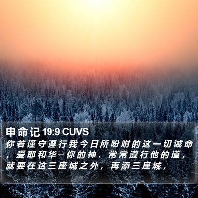 申 命 记 19:9 CUVS Bible Verse Image