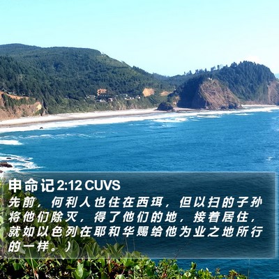 申 命 记 2:12 CUVS Bible Verse Image