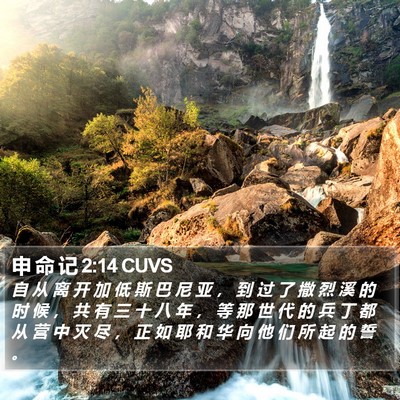 申 命 记 2:14 CUVS Bible Verse Image