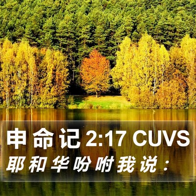 申 命 记 2:17 CUVS Bible Verse Image