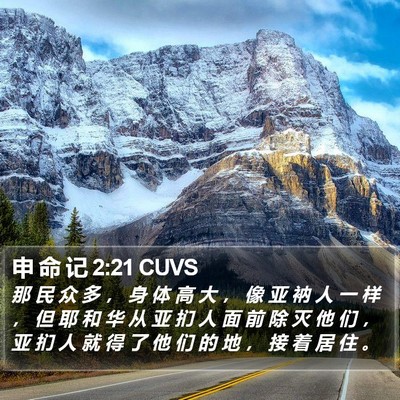 申 命 记 2:21 CUVS Bible Verse Image