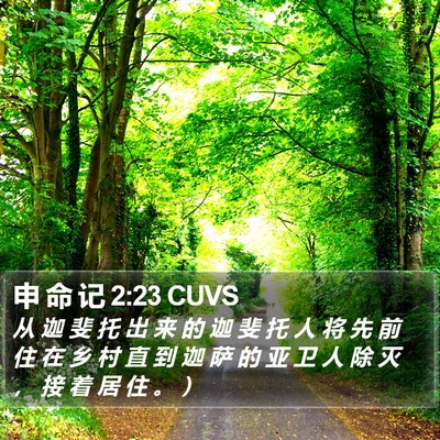 申 命 记 2:23 CUVS Bible Verse Image