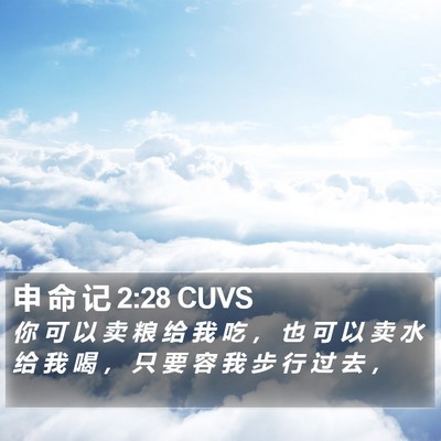 申 命 记 2:28 CUVS Bible Verse Image