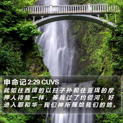 申 命 记 2:29 CUVS Bible Verse Image