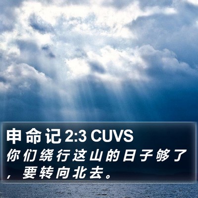 申 命 记 2:3 CUVS Bible Verse Image