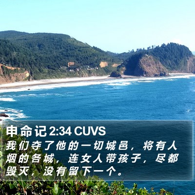申 命 记 2:34 CUVS Bible Verse Image