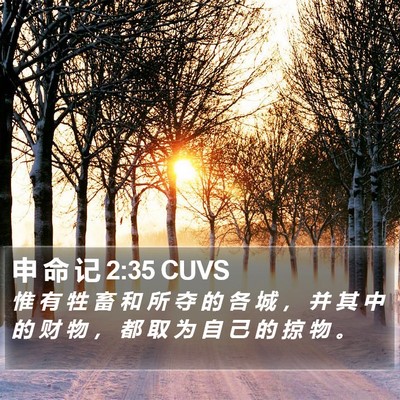 申 命 记 2:35 CUVS Bible Verse Image