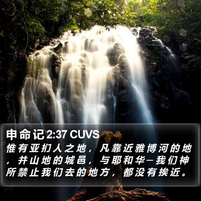 申 命 记 2:37 CUVS Bible Verse Image