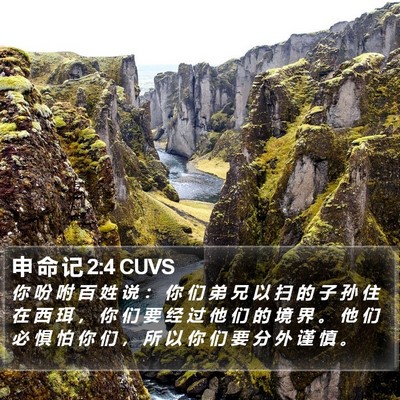 申 命 记 2:4 CUVS Bible Verse Image